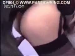 Fucking a sexy hawt slutwife with a big, black dog